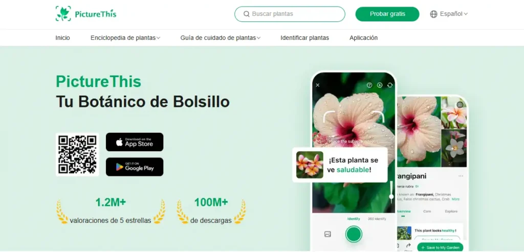 app para el cuidado de plantas PictureThis. 