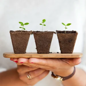 Guía Completa para Principiantes en el Cultivo de Plantas Carnívoras